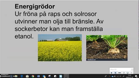 vad innebär biobränsle.